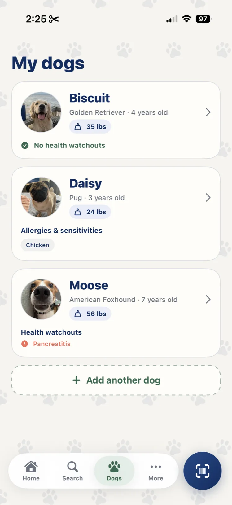 Biscuit, Daisy and Moose in Snout, each with their own allergies and health conditions