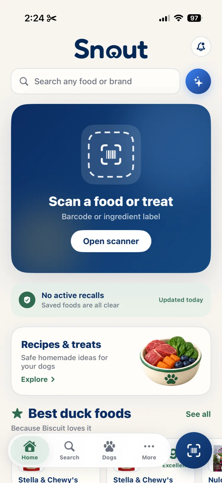 The Snout home screen on iPhone